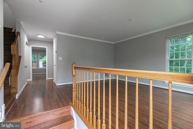 Building Photo - 1043 Downing Ct