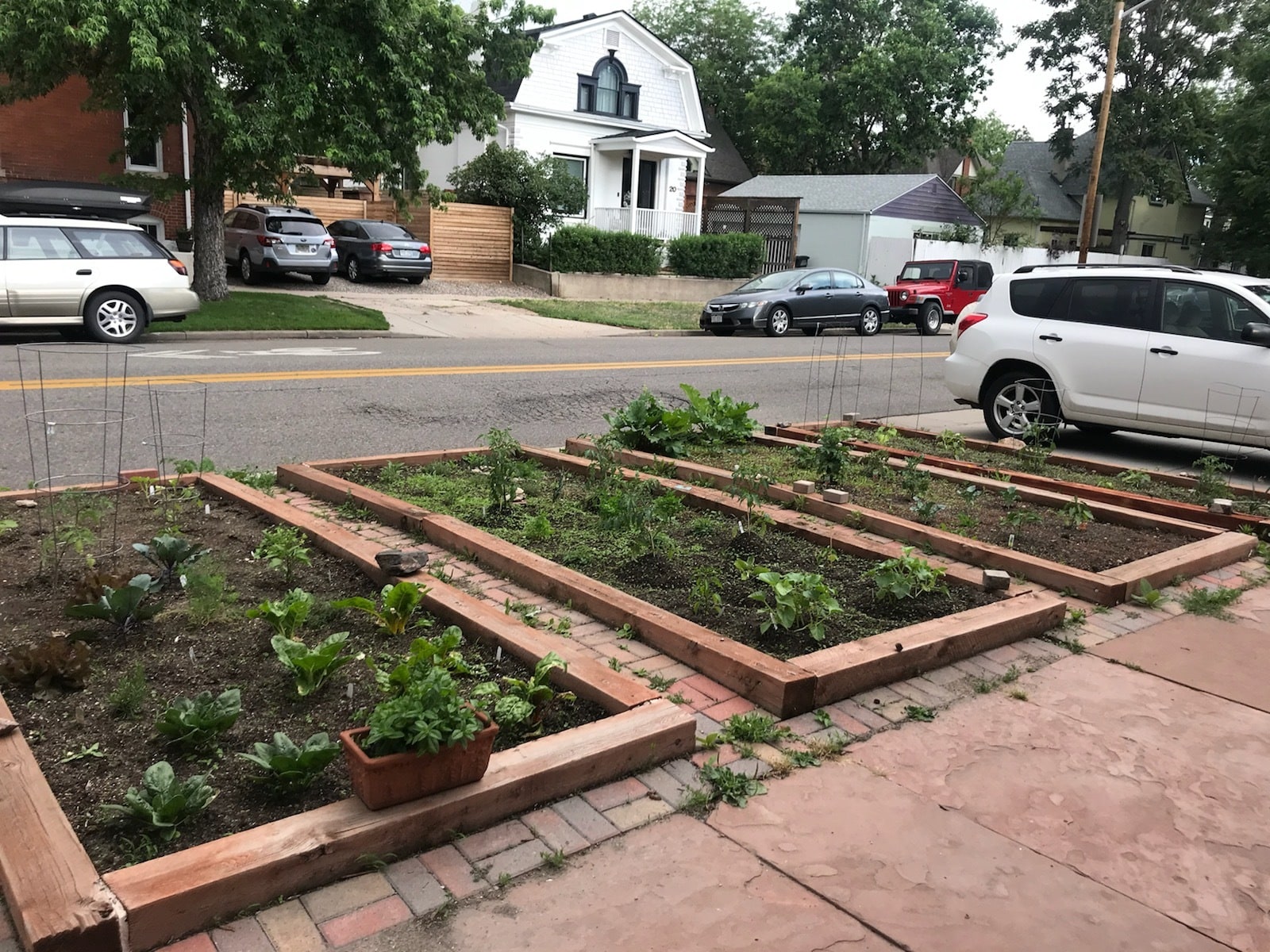 Garden plots - 200 W Irvington Pl