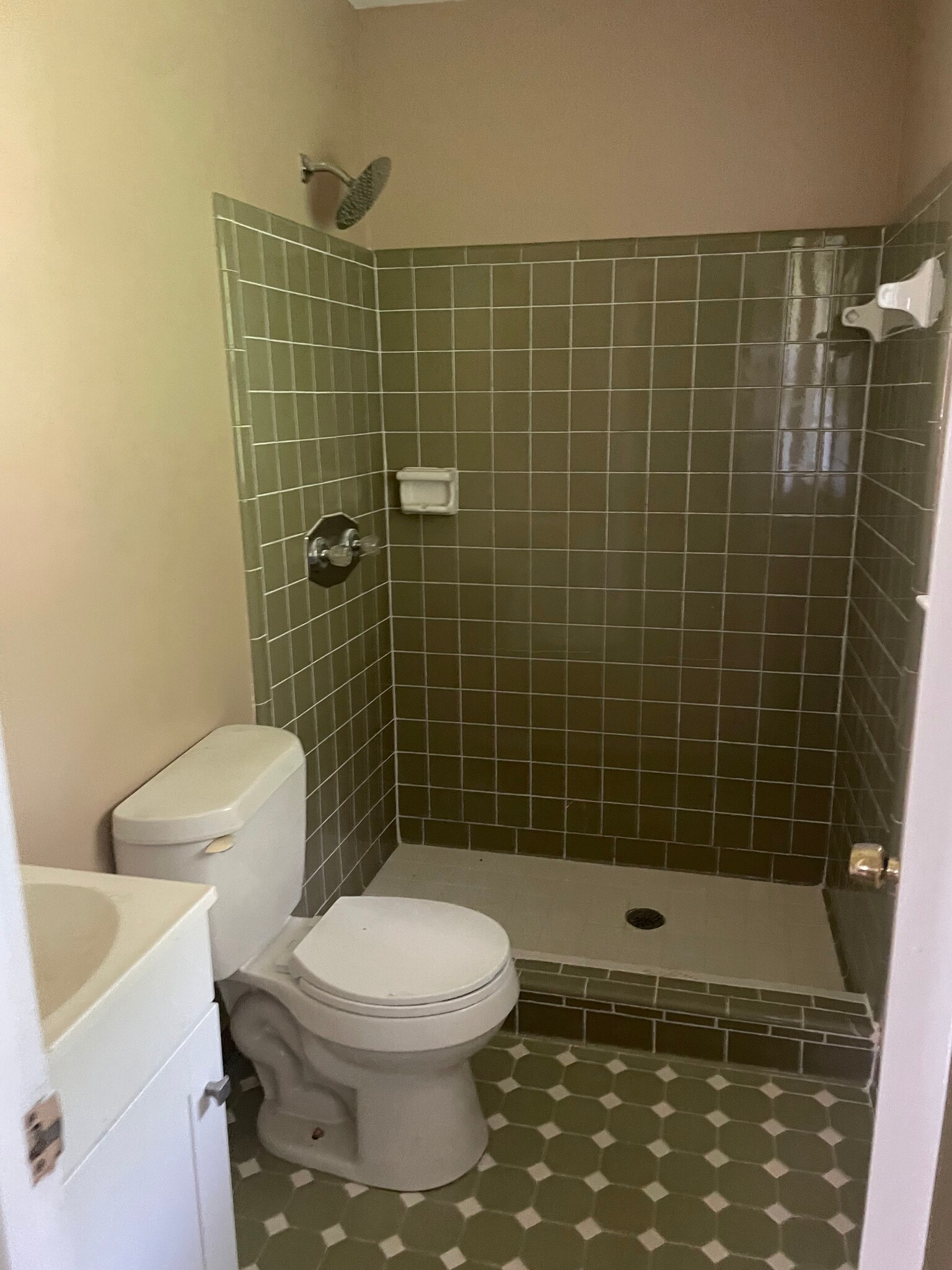 Ensuite bath - 105 Valencia Cir