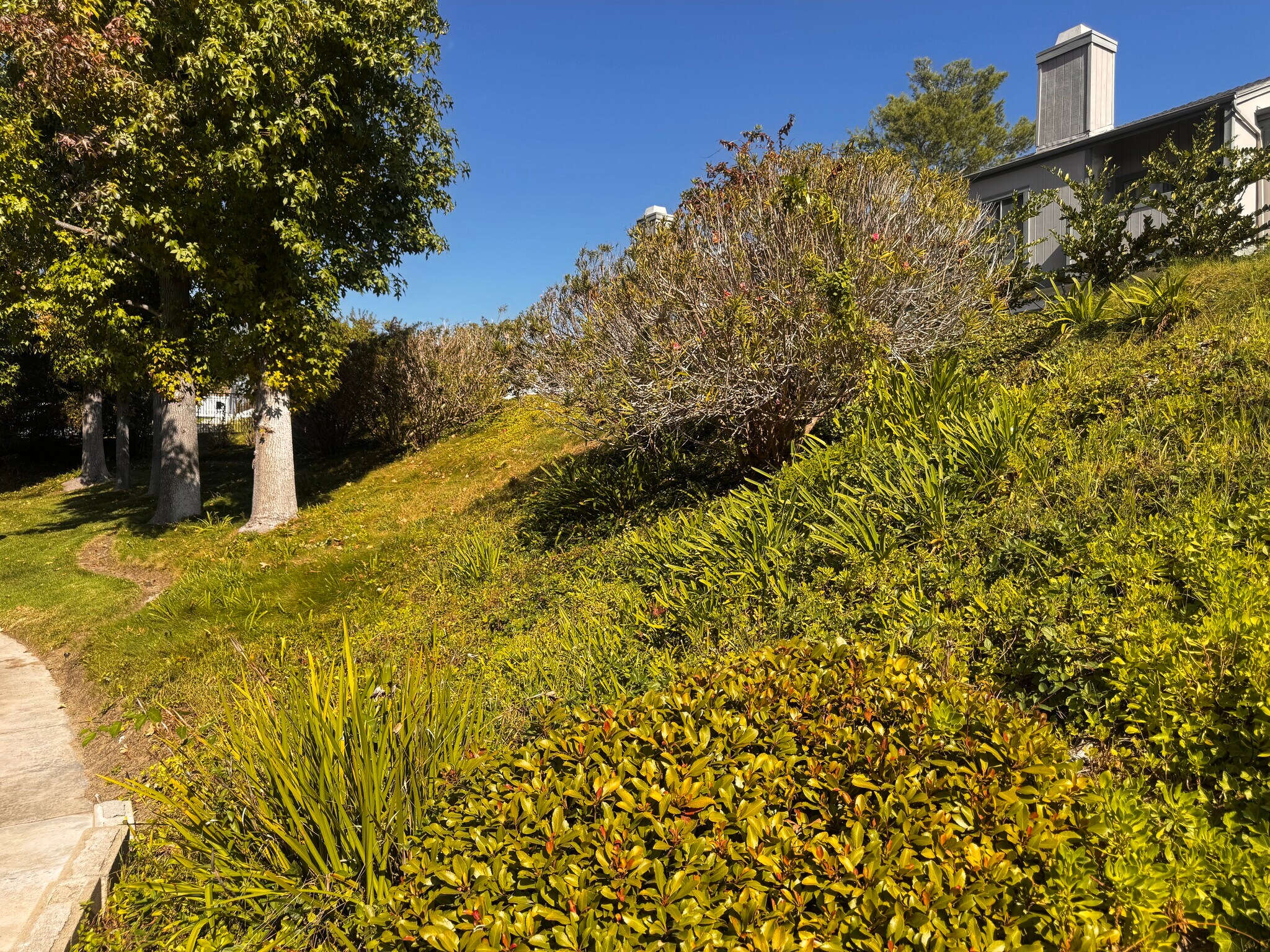 Building Photo - 1102 Cleghorn Dr