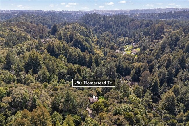 Building Photo - 250 Homestead Trl