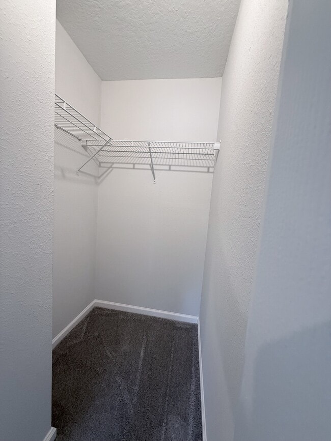Building Photo - 4541 Cambria St