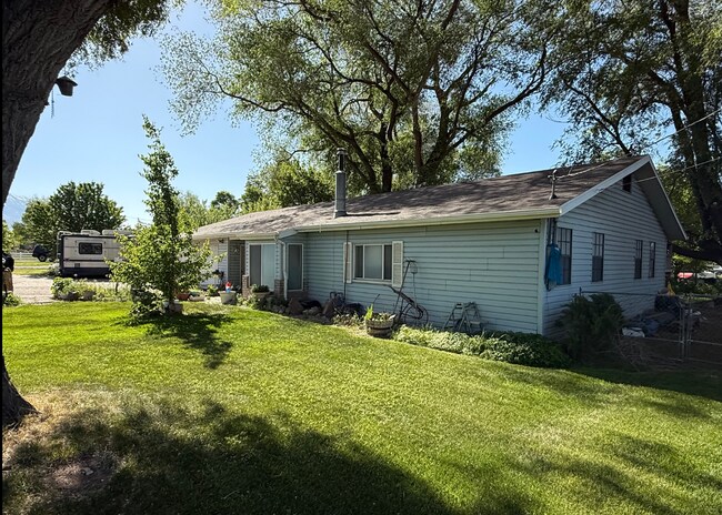 Building Photo - Cute Lehi rambler with tons of yard space and trees!