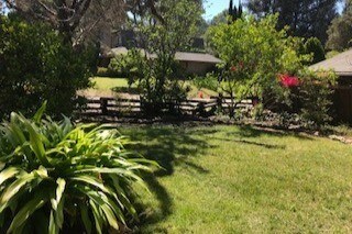 Large Grassy Yard - 713 Robinson Rd