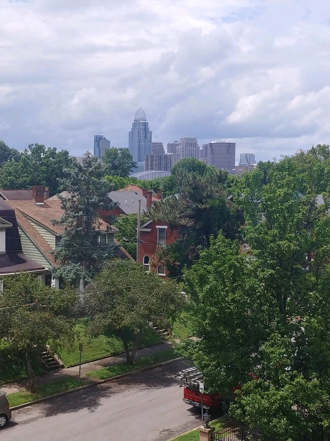 Seasonal views of Cincinnati - 803 E 6th St