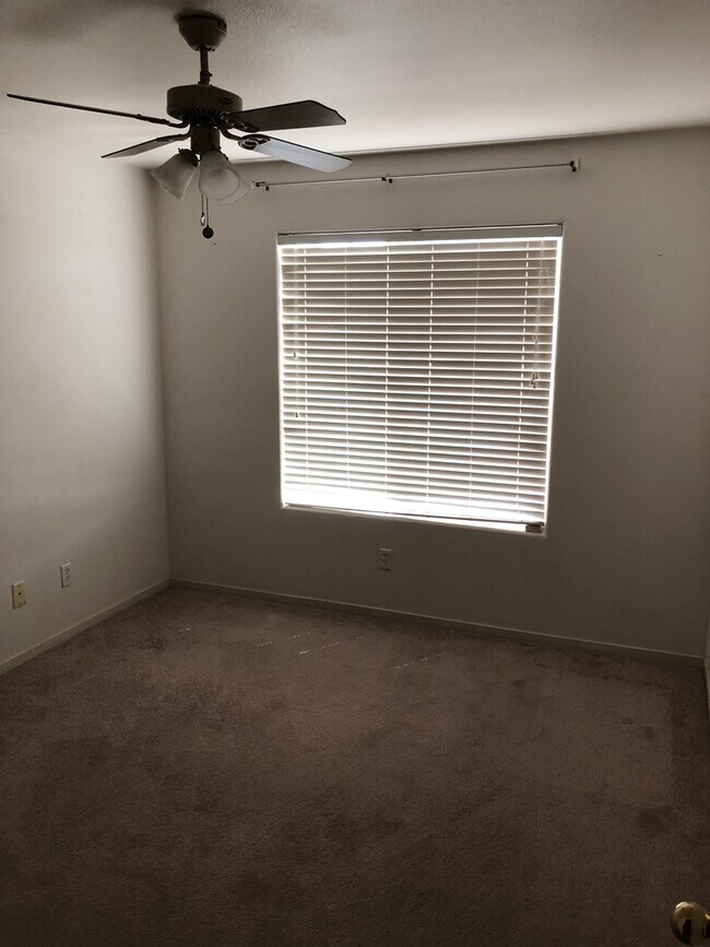Building Photo - 1281 Mt Brewer Ct