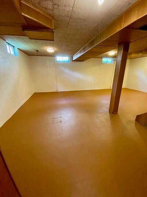 Basement - 310 Eugenia Ave