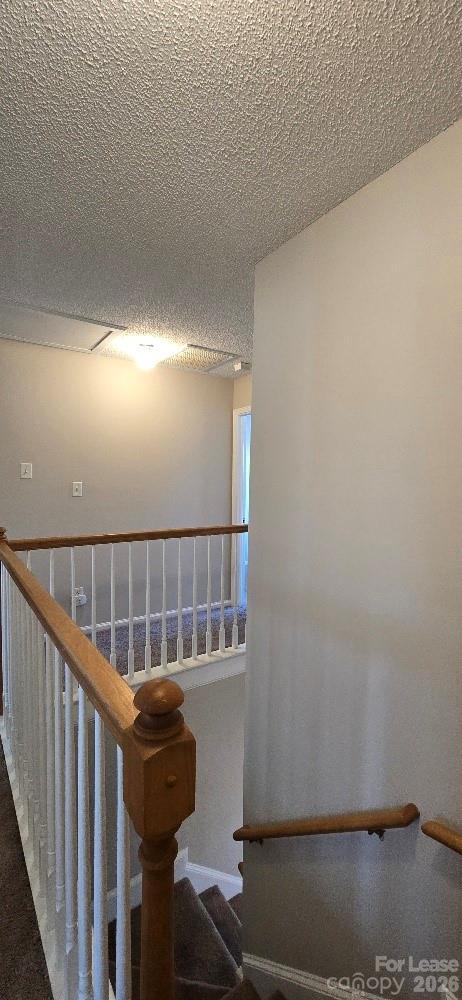 Building Photo - 14109 Southbridge Forest Dr