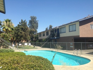 Pool - Giant Sequoia Village