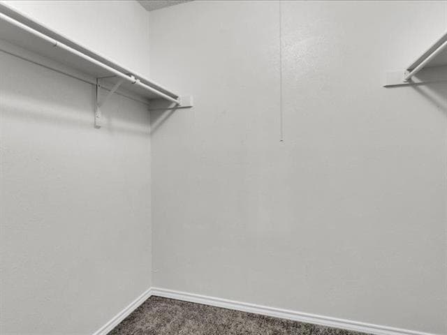 Building Photo - 1005 Vedral Pl