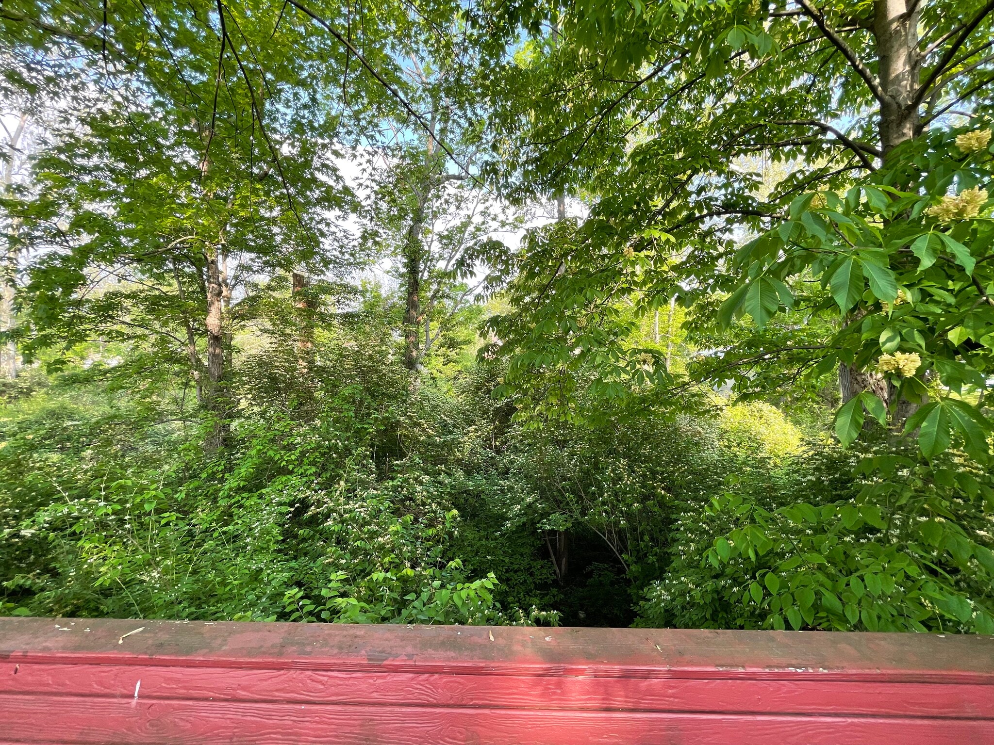 Back of house view - 1277 Tallberry Dr