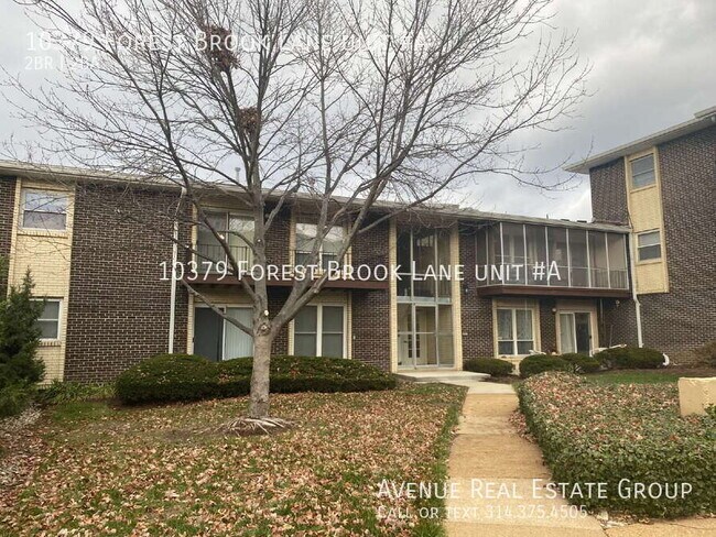Primary Photo - 10379 Forest Brook Ln