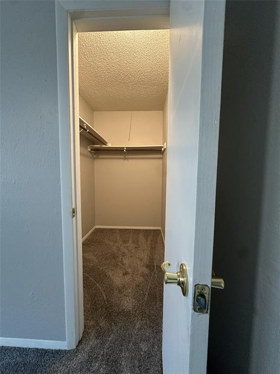 Building Photo - 4807 Putters Cove