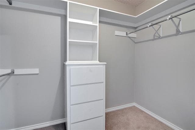 Building Photo - 14822 Sopras Cir