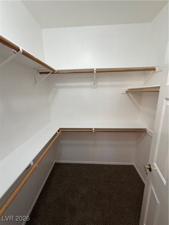 Building Photo - 10608 Tinta Ln