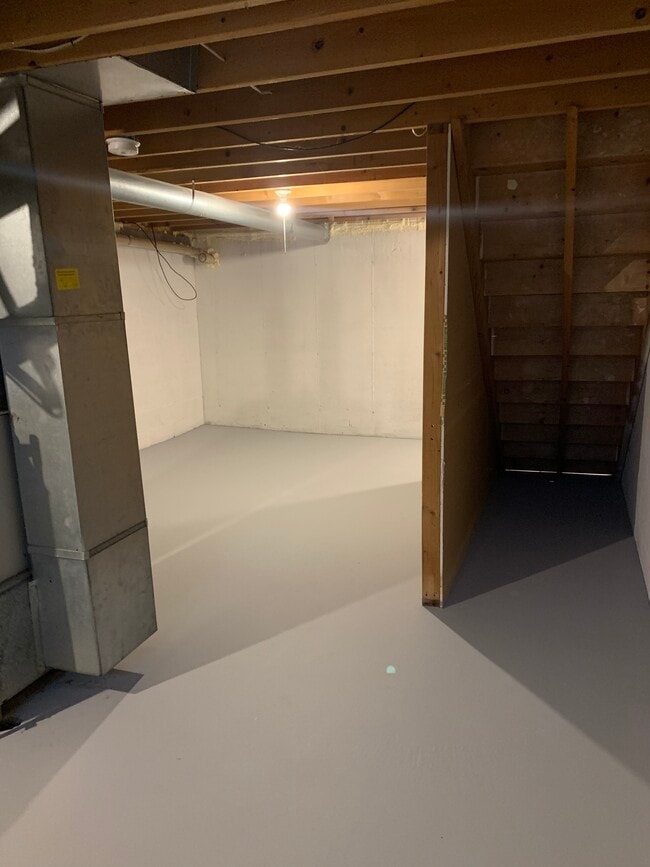 Basement - 475 W Mae Rose Ave