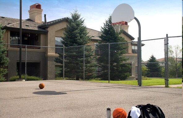 Basketball Court - Camden Highlands Ridge