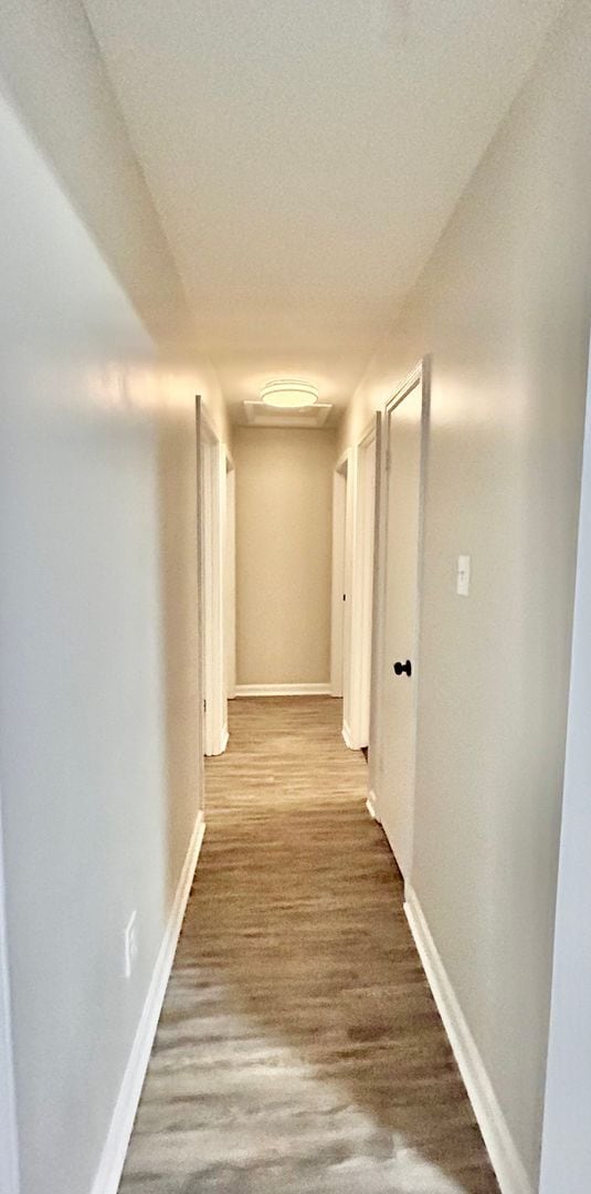 Building Photo - Newly Rehabbed Home in Raleigh - Open To Section 8 - $99 Move In Special