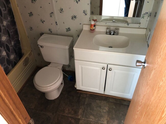 Building Photo - Large 16x80 Singlewide Mobile Home in Pine...