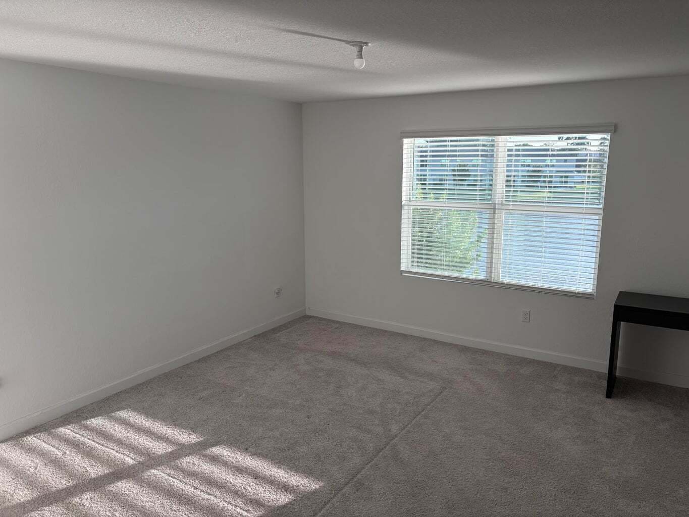 Building Photo - 4181 Lagoon Shore Dr