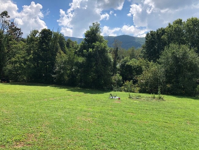 Building Photo - Great Swannanoa Cottage