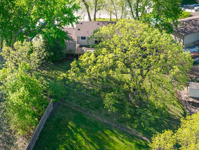 Giant oak tree in backyard - 3937 Pumice Ct