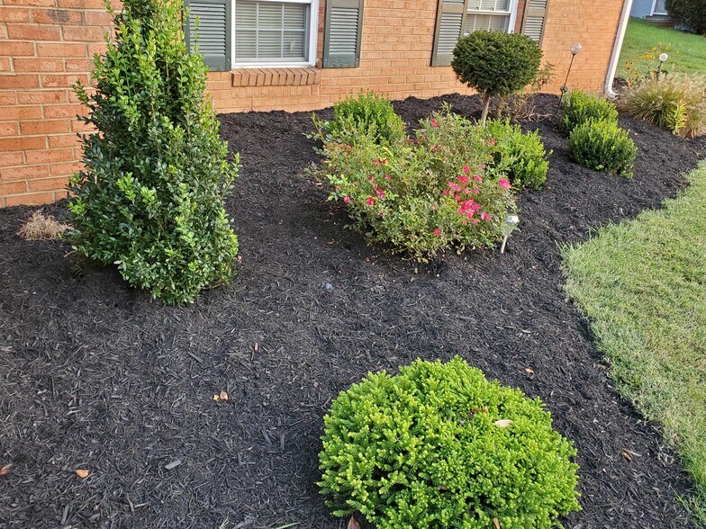 Landscaping - 621 Broadview Dr