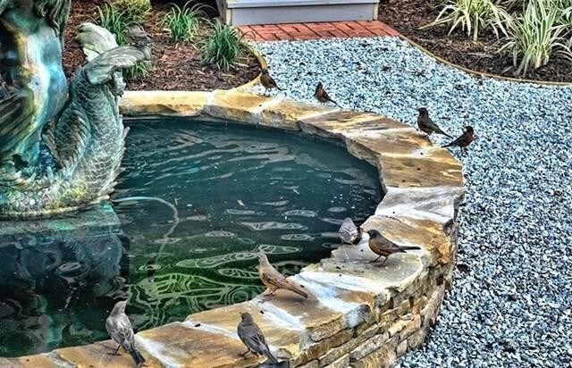 Building Photo - 802 Howe St