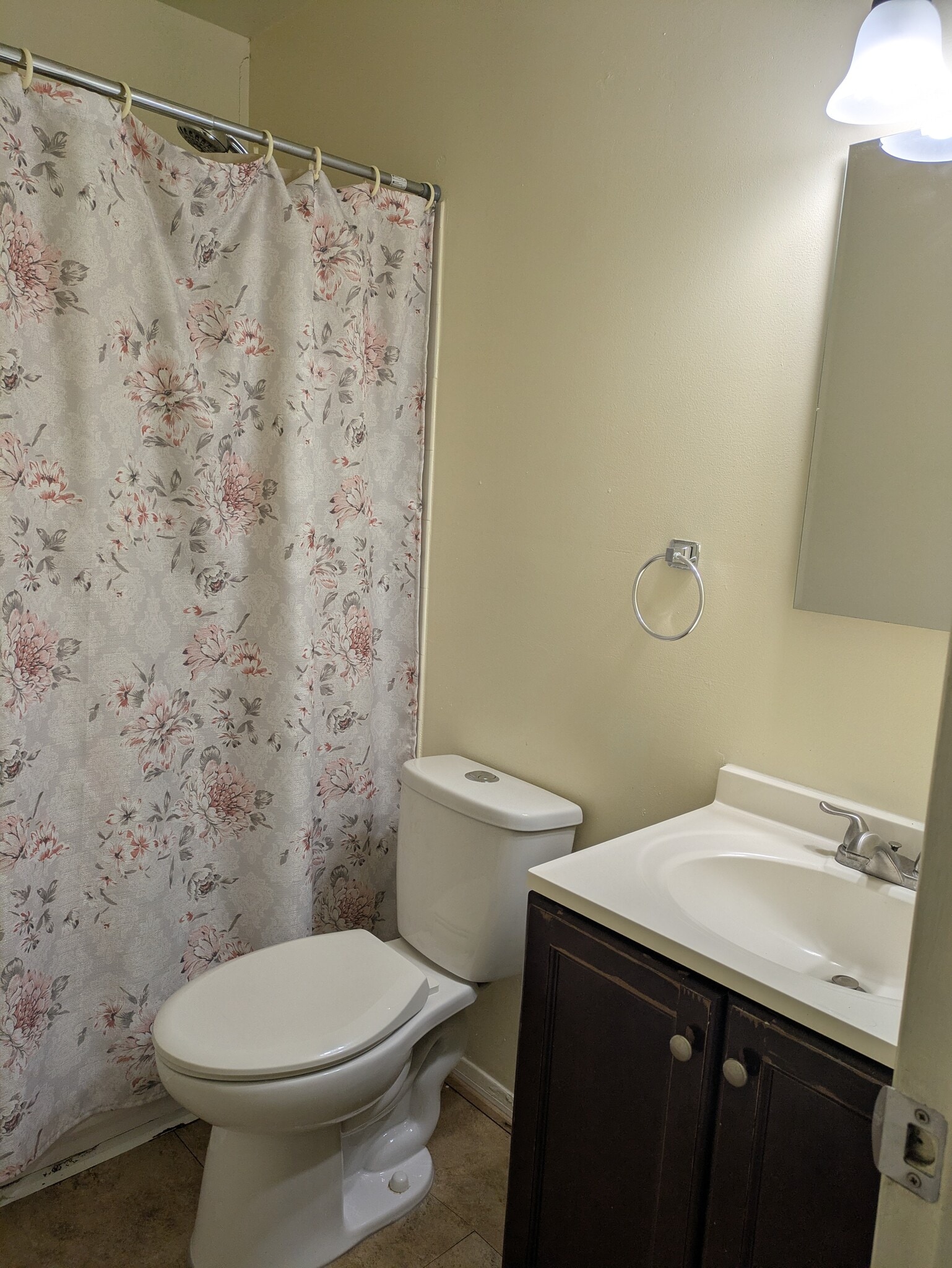 Master Bathroom - 11222 Snowflake Ct