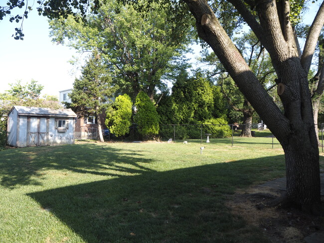 Back Yard Recently Landscaped and Still in Progress! - 329 Westview Ave