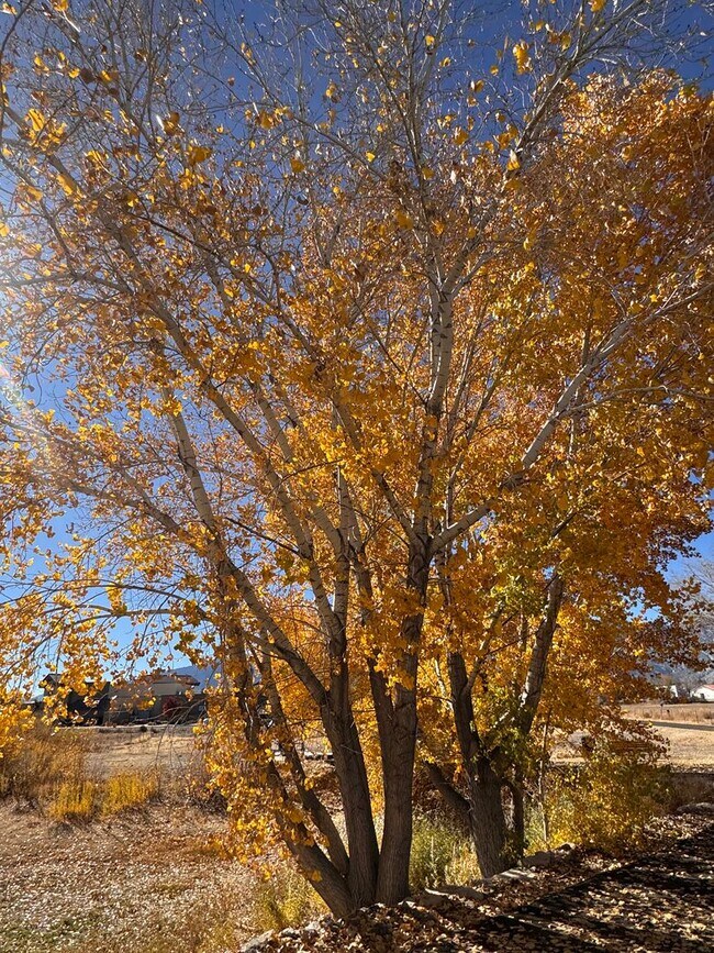 Building Photo - NEW! 3/2.5/2 Townhome in Gardnerville