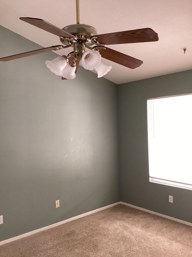 Building Photo - Centrally Located Home in Kitty Hawk