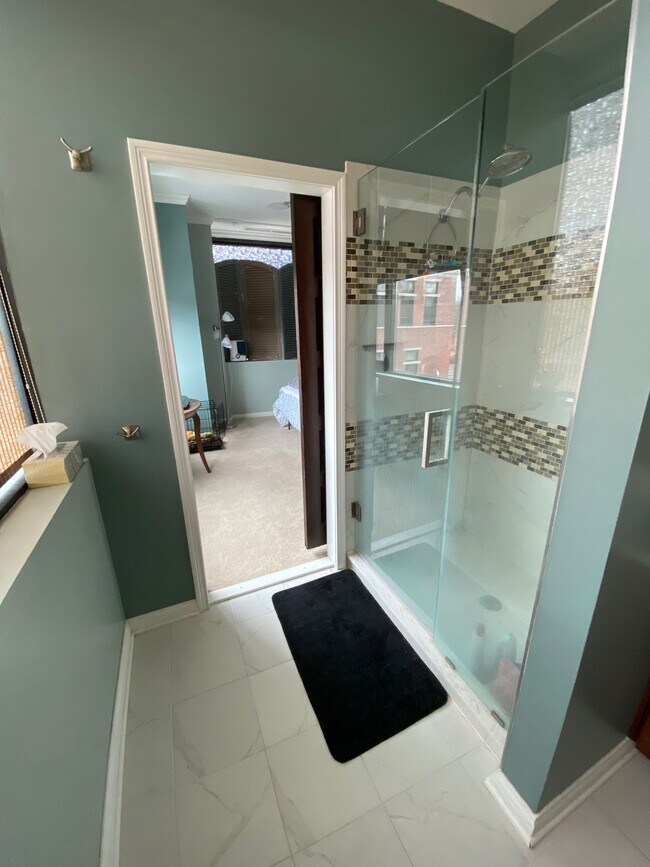 Master bath - 225 N New Jersey St