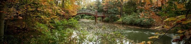 Building Photo - 732 Scotland St