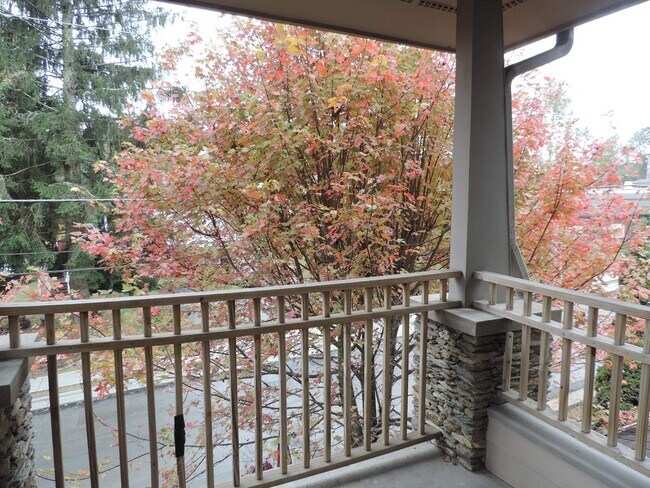 Building Photo - Luxurious 2bd Condo in Downtown Blowing Rock!