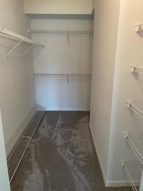 Building Photo - 2804 Sarento Pl