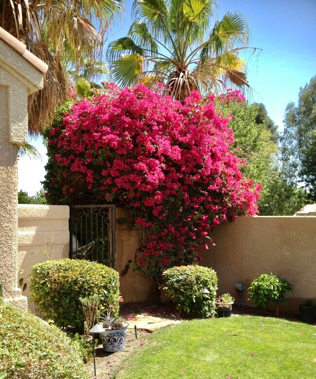 Building Photo - 45540 Desert Fox Dr