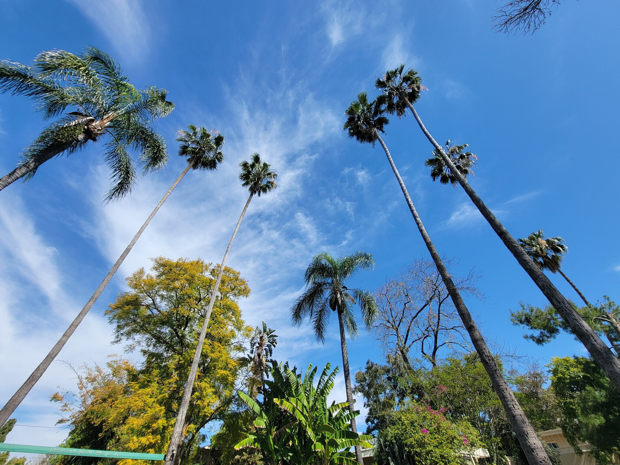 Building Photo - 13626 Leadwell St