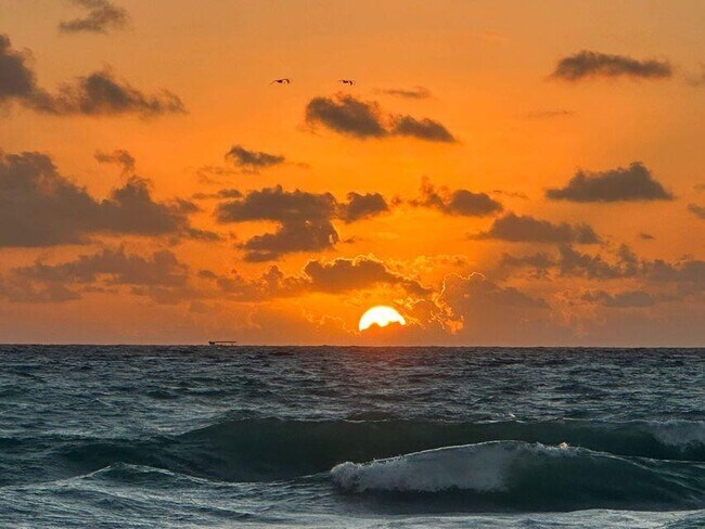 Building Photo - 235 Fordham Dr