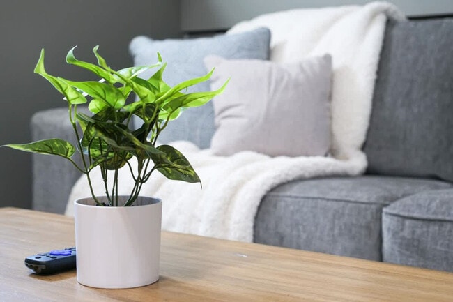 Building Photo - 8910 Cambridge Dr