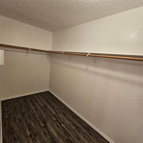 Building Photo - 1716 Rialto Way