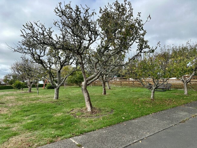 Building Photo - Furnished Studio Cottage on Peaceful Ranch Property – All Utilities Included