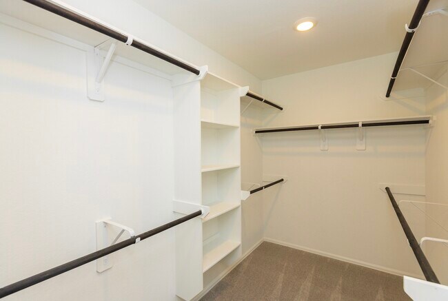 Building Photo - 5330 Sleepy Fox Ln