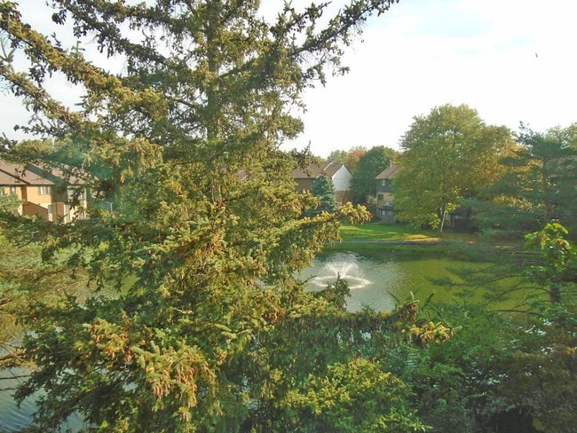 Building Photo - 2547 Meade Ct