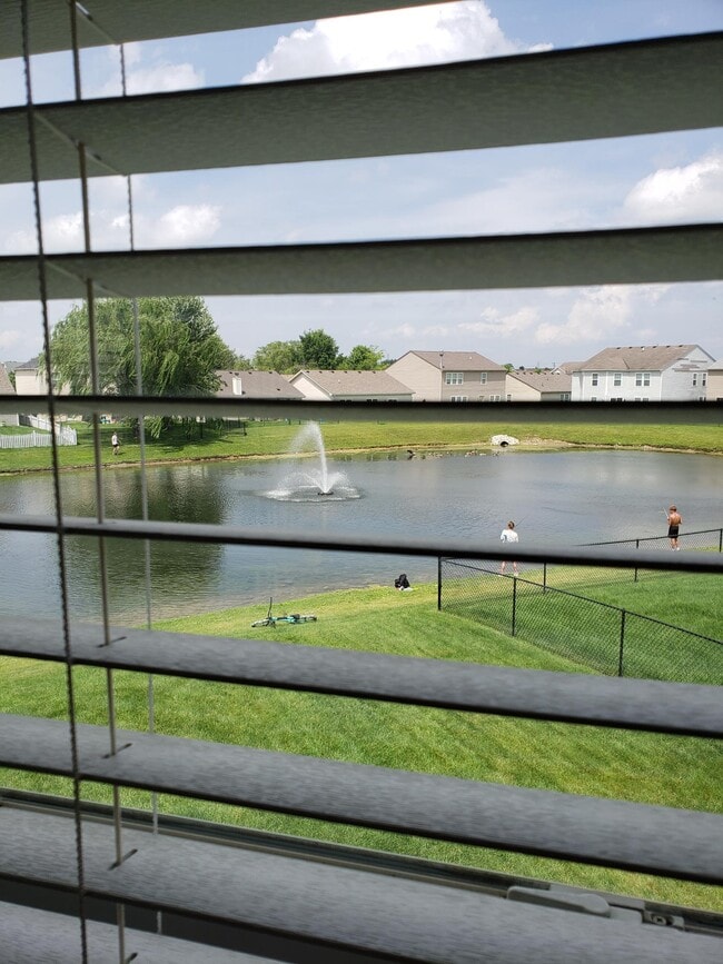 Building Photo - 898 Stonehurst Dr