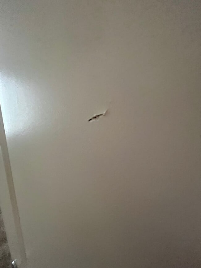 Building Photo - Townhouse style duplex in Lowell