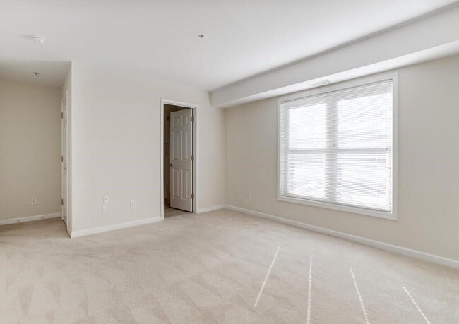Master bedroom has separate bathroom/shower - 1101 Primrose Ct