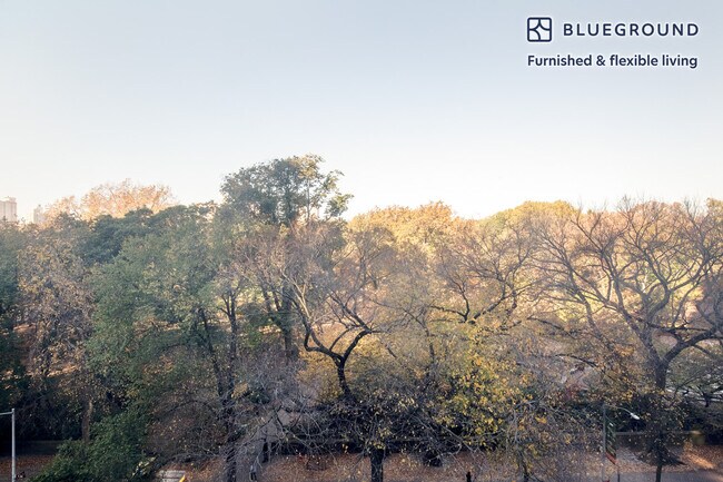 Building Photo - 952 5th Ave