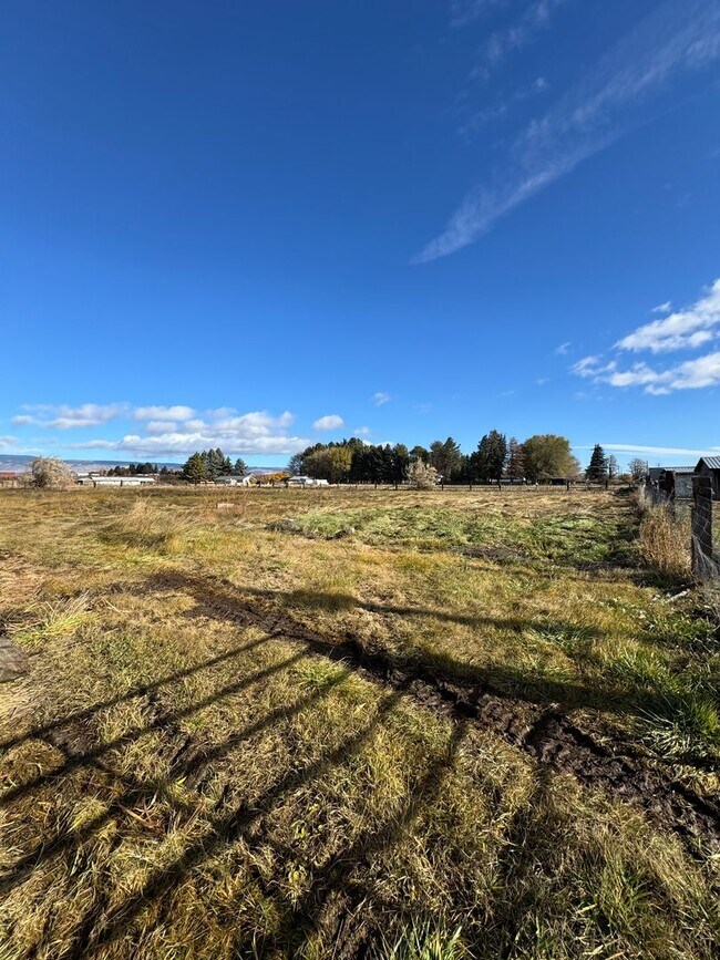 Building Photo - Spacious Pet-Friendly Rental on 3 Acres — ...