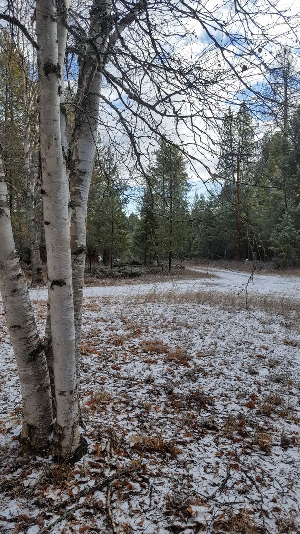 Primary Photo - Serene location with some breathing room!